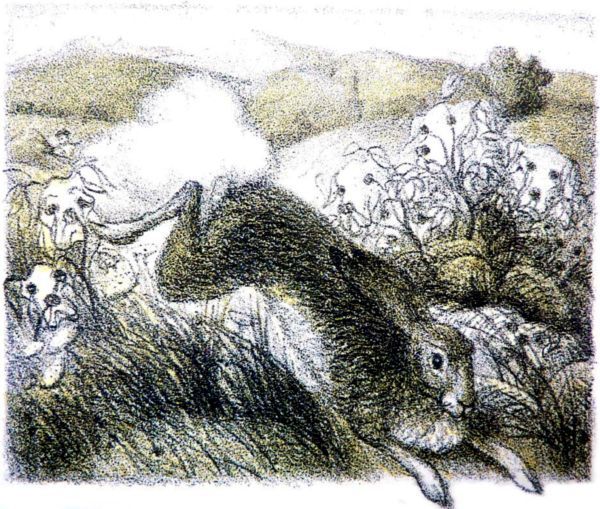 История зайца - i_011.jpg