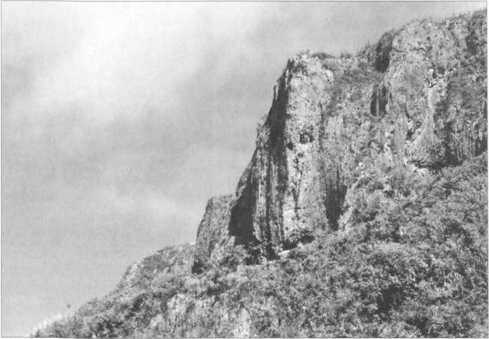 Камикадзе. «Божественный ветер» в истории Японии - i_127.jpg