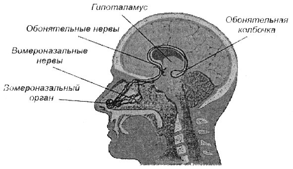 Люстра Чижевского – прибор долголетия - doc2fb_image_02000006.jpg