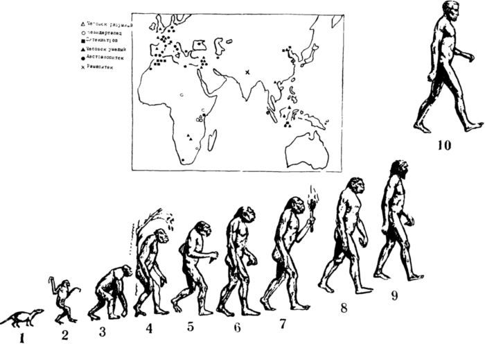 Путь длиною в миллионы лет<br />Человек и его история - i_005.jpg