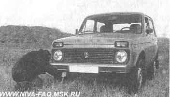 Что может Нива (СИ) - img_77.jpeg