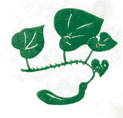 Приключения кузнечика Мена (с илл.) - i_021.png