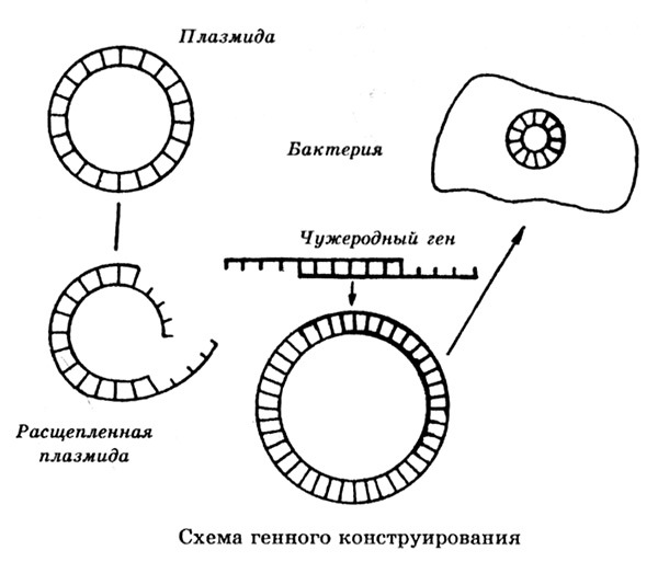 Открытия и изобретения, о которых должен знать современный человек - i_118.jpg