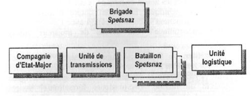 Войска специального назначения Организации Варшавского договора (1917-2000) (ЛП) - img4C8A.jpg