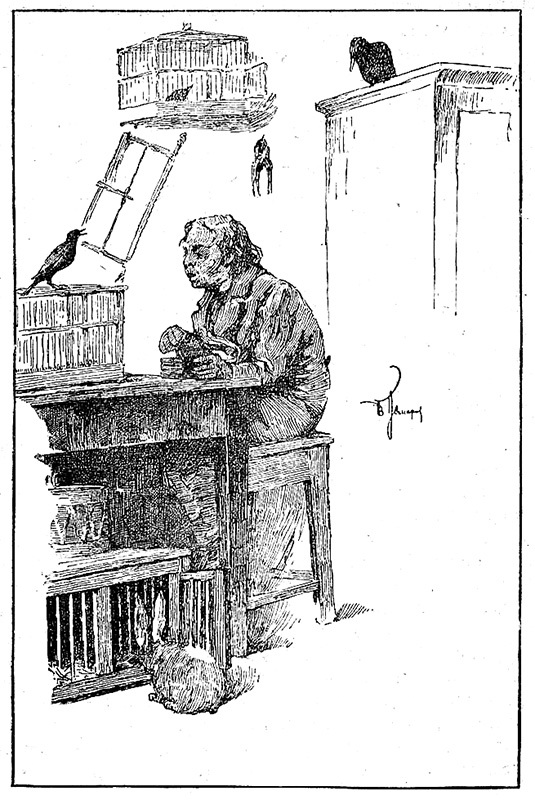 Бабушкин карлик - _5.jpg