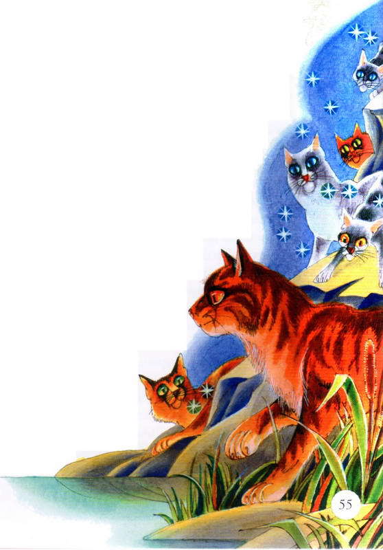 Память племен. Путеводитель по серии «Коты-воители» - pic_28.jpg