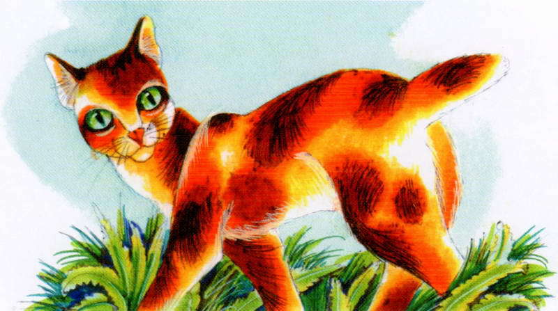 Память племен. Путеводитель по серии «Коты-воители» - pic_71.jpg