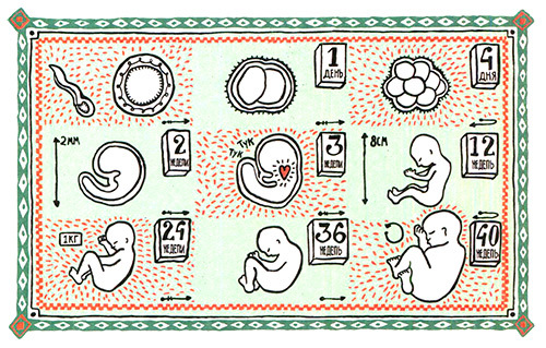 Загадка жизни и грязные носки Йоса Гротьеса из Дрила - _11.jpg