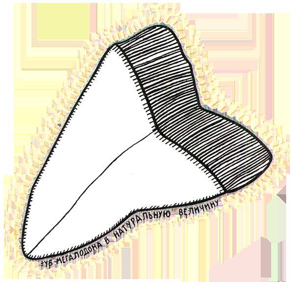 Загадка жизни и грязные носки Йоса Гротьеса из Дрила - _81.jpg