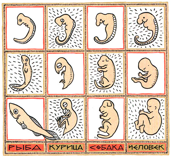 Загадка жизни и грязные носки Йоса Гротьеса из Дрила - _92.jpg