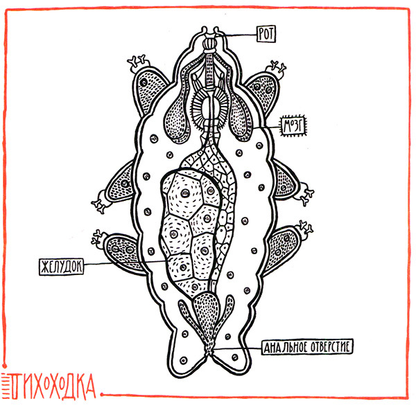 Загадка жизни и грязные носки Йоса Гротьеса из Дрила - _106.jpg