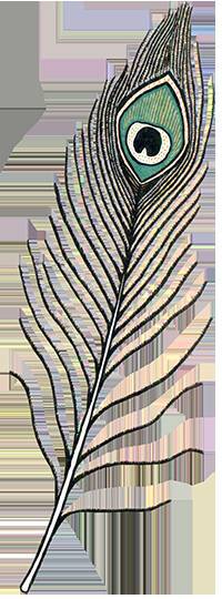 Загадка жизни и грязные носки Йоса Гротьеса из Дрила - _40.jpg