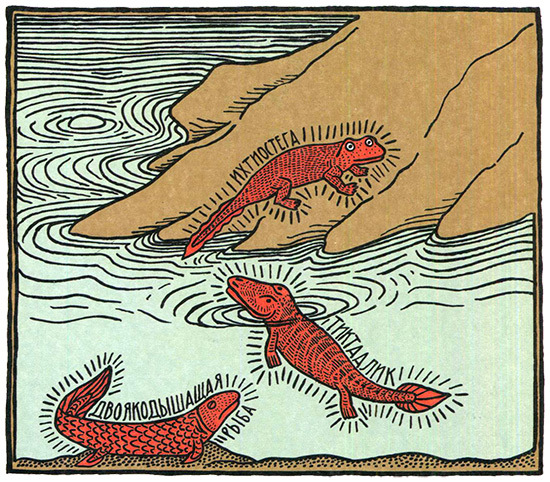 Загадка жизни и грязные носки Йоса Гротьеса из Дрила - _83.jpg