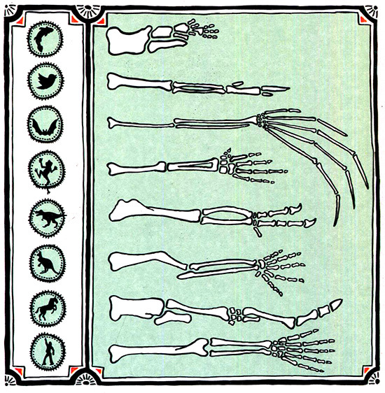 Загадка жизни и грязные носки Йоса Гротьеса из Дрила - _90.jpg