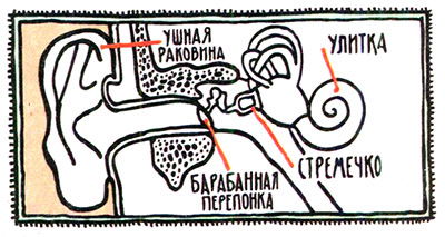 Загадка жизни и грязные носки Йоса Гротьеса из Дрила - _91.jpg