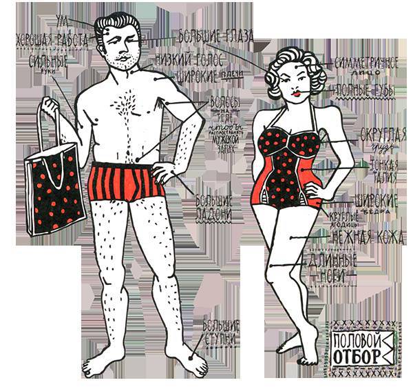 Загадка жизни и грязные носки Йоса Гротьеса из Дрила - _41.jpg