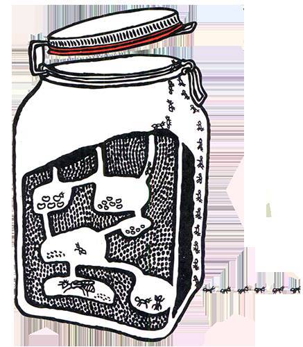 Загадка жизни и грязные носки Йоса Гротьеса из Дрила - _45.jpg