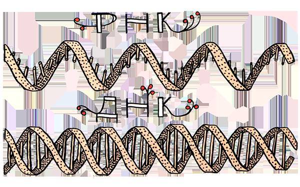 Загадка жизни и грязные носки Йоса Гротьеса из Дрила - _54.jpg