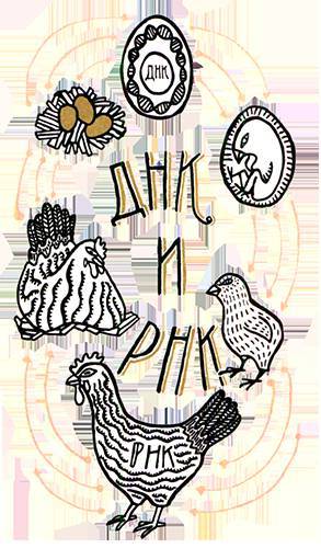 Загадка жизни и грязные носки Йоса Гротьеса из Дрила - _55.jpg