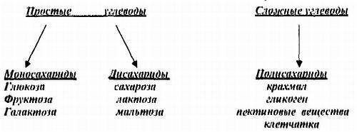 Анаболизм с инсулином II - _02.jpg_0