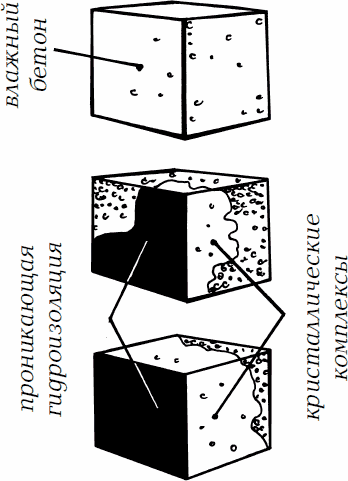 Сезон урожая. Собираем и храним - _08.png