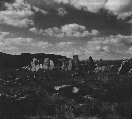 В стране каменных курганов и наскальных рисунков - i_067.jpg