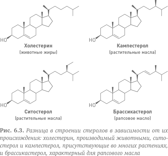 Состав: Как нас обманывают производители продуктов питания - i_013.png