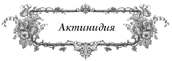 Все секреты повышения урожайности на маленьком участке. Как вырастить урожай на зависть соседям - i_004.jpg