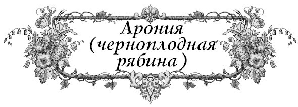 Все секреты повышения урожайности на маленьком участке. Как вырастить урожай на зависть соседям - i_006.jpg