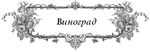 Все секреты повышения урожайности на маленьком участке. Как вырастить урожай на зависть соседям - i_008.jpg