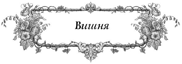 Все секреты повышения урожайности на маленьком участке. Как вырастить урожай на зависть соседям - i_009.jpg