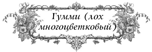 Все секреты повышения урожайности на маленьком участке. Как вырастить урожай на зависть соседям - i_011.jpg