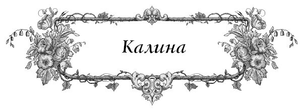 Все секреты повышения урожайности на маленьком участке. Как вырастить урожай на зависть соседям - i_015.jpg