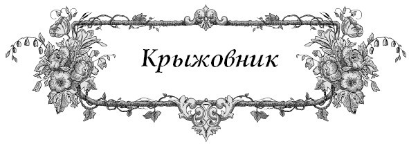 Все секреты повышения урожайности на маленьком участке. Как вырастить урожай на зависть соседям - i_016.jpg