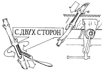 Виноград. Секреты виноградарей севера и юга России - i_010.jpg