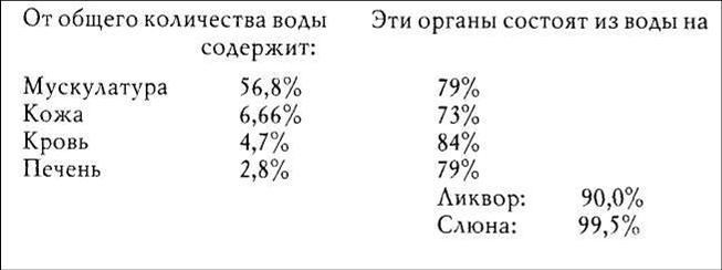 Образ человека как основа искусства врачевания - Том I. Анатомия и физиология - img_3.jpg