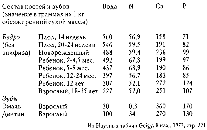 Образ человека как основа искусства врачевания - Том I. Анатомия и физиология - img_13.png