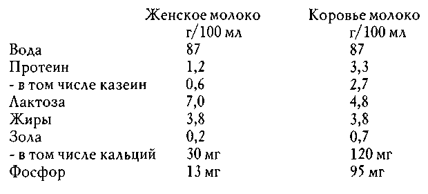 Образ человека как основа искусства врачевания - Том I. Анатомия и физиология - img_15.png