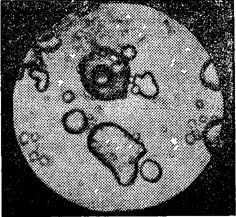 Эволюция биосферы - i_002.png