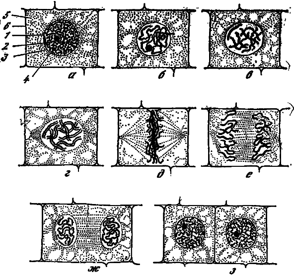 Эволюция биосферы - i_024.png