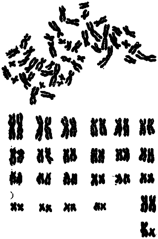 Эволюция биосферы - i_025.png