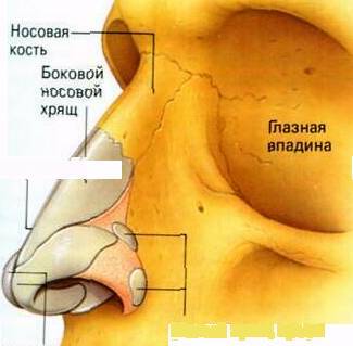 Психология здоровья глаз. Теория и практика (СИ) - _9.jpg