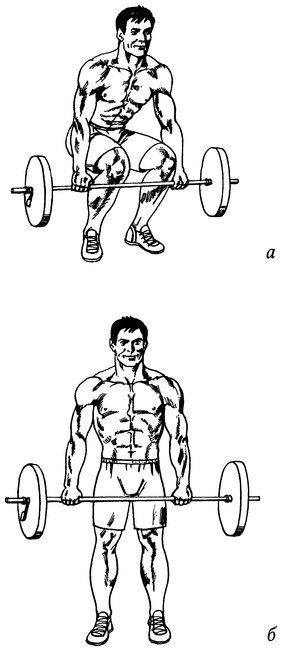 Живая пища. Сыроедение: энергетика, психология - i_047.png