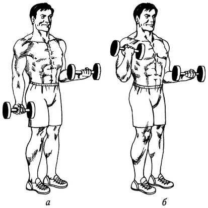 Живая пища. Сыроедение: энергетика, психология - i_061.png
