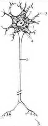 Тело танцора - i_024.jpg