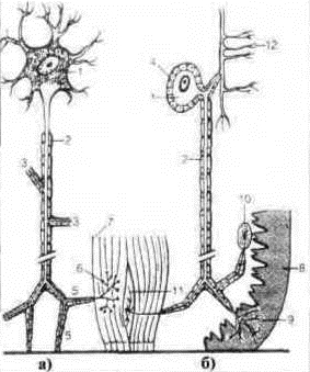 Тело танцора - i_025.jpg