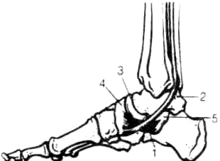 Тело танцора - i_092.jpg