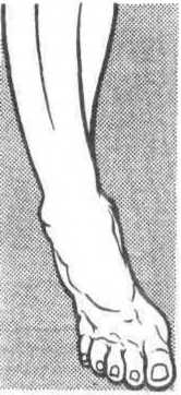 Тело танцора - i_095.jpg