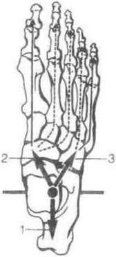 Тело танцора - i_096.jpg