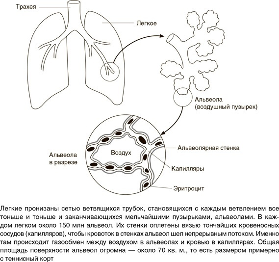 На грани возможного: Наука выживания - i_011.jpg